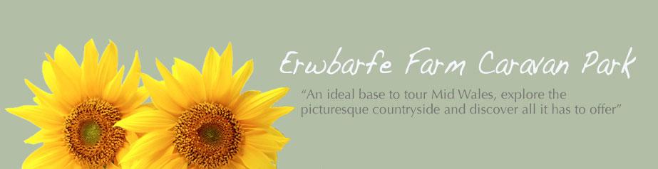 Erwbarfe Farm Caravan Park Wales