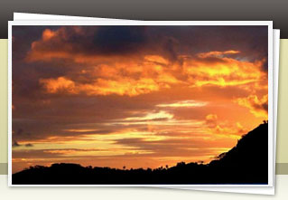 Erwbarfe Farm Caravan Park — photo 4
