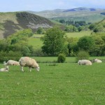 View from touring field